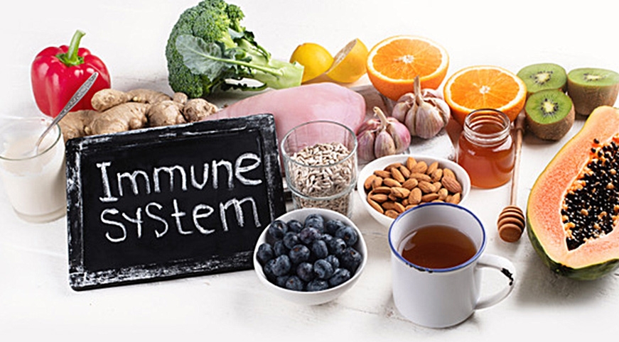 Immune System